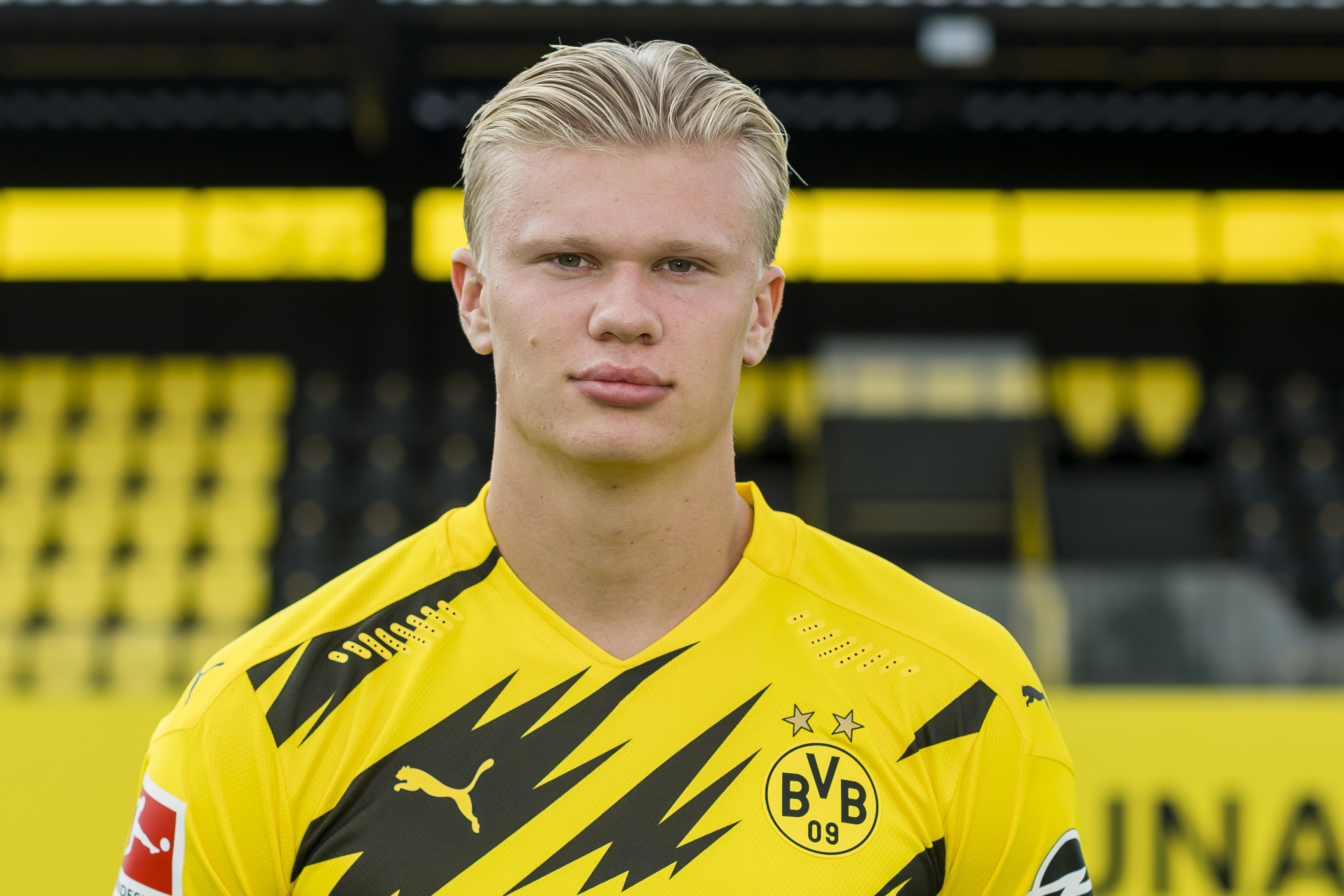 广东三外援：野马与缰绳的平衡艺术（广东三外援：狂奔与收缰的平衡之道）