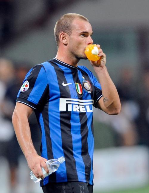 森林狼的顽强拼搏（森林狼的坚毅奋战）